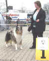 Gaetano-Lingen04a.jpg (21139 Byte)