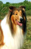 Vincent-Kopf1-2005.jpg (24463 Byte)